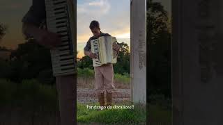 FANDANGO DA DORALICE MINUANO music acordeon [upl. by Aratak788]