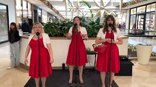 Amazing Ladies Christmas 🎄 Song 🎵 christma [upl. by Inattyrb]