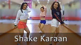 Shake Karaan  Tiger Shroff Meet Bros Kanika Kapoor  Santosh Choreography [upl. by Aramahs451]