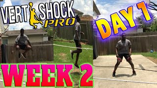 VERT SHOCK Pro Shock PhaseWeek 2 Day 1FOLLOW ALONG Vert Shock Day 8 Workouts [upl. by Akeirahs]