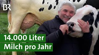 Holstein Friesians Kühe von Weltklasse mit hoher Milchleistung  Kuhmilch  Unser Land  BR [upl. by Powel]