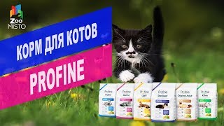 Корм для котов Profine  Обзор корма для котов Profine [upl. by Helfand]