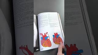 🔴👉 Pare de bater cabeça com o estudo da anatomia Como estudar anatomia [upl. by Beal1]