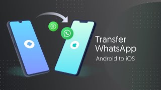 iCareFone WTSapp AndroidiOS App Quick Guide  Transfer WhatsApp from Android to iOS without PC [upl. by Gregory]