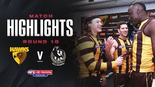 Hawthorn v Collingwood Highlights  Round 19 2024  AFL [upl. by Atsed987]