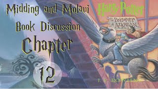 Harry Potter and the Prisoner of Azkaban  Chapter 12 Book Discussion [upl. by Tanaka783]