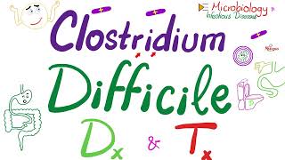 Testing for Clostridium difficile Infection [upl. by Camilla]