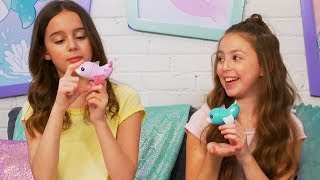 Fingerlings  How to Play with Your Dolphin Fingerling  Toy Videos for Kids  Pretend Play [upl. by Harriot]