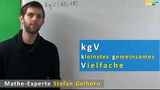 kgV berechnen kleinstes gemeinsames Vielfaches kgV Primfaktorzerlegung  Mathematik [upl. by Nitsyrk]