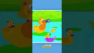 Five Little Ducks Went Swimming One Day shorts nurseryrhymes [upl. by Gundry]