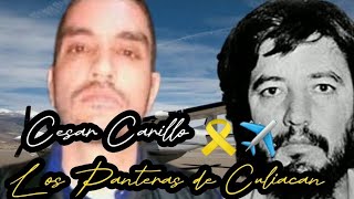 Cesar Carillo letra  Los Panteras de Culiacan [upl. by Kal106]