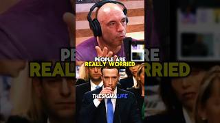 Rogan on Mark Zuckerberg Speaking Mandarin in China [upl. by Ahdar384]