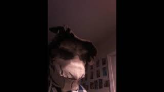 creepy scarecrow sings The Banana Splits Tralala song [upl. by Weitman]