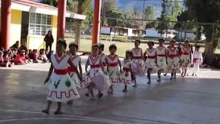 Picotas De TamaulipasBailable Folklorico De La Villa De Etla [upl. by Litt876]