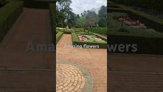 Amazing garden in Toowoomba [upl. by Hughie317]