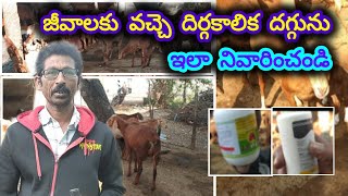 sheep amp goat calf treatment asmr sheepfarming treament jaijawanjaikisan [upl. by Ardnael]