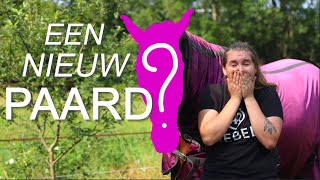 Een NIEUW PAARD Even voorstellen  Zoektocht naar nog een paard  Zaressa [upl. by Anema]