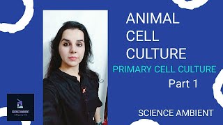 Cell Culture for Adherent Cells [upl. by Nozicka10]