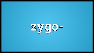 Zygo Meaning [upl. by Beffrey702]