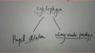 cycloplegic refraction procedure [upl. by Feld565]