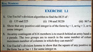 10 th NCERT MathematicsREAL NUMBER CHAPTER1 EXERCISE11 Solution  Pathshala Hindi [upl. by Judye]