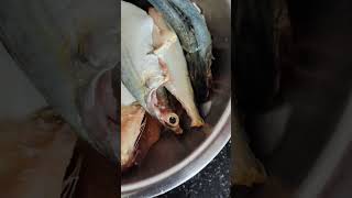 வாங்க சுவைக்கலாம் மீன் குழம்பு  Preparing Lunch for Fish Cooking vlog is live [upl. by Linskey]