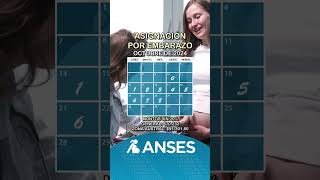 Calendario de Anses con las fechas de pago de la asignación por embarazo en octubre de 2024 anses [upl. by Saleme185]