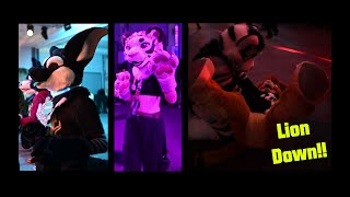 4K Scotiacon 2024 Rave  Lion Down [upl. by Elrebmik]