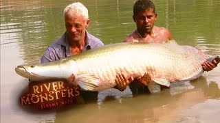 The BIGGEST Arapaima Jeremy Wade Has EVER Caught  ARAPAIMA  River Monsters [upl. by Iddet]