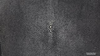 Shagreen Gunmetal 12 Inch [upl. by Ahsikam765]