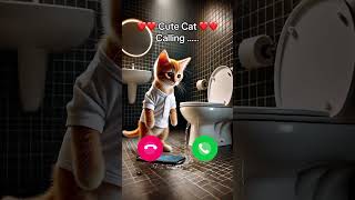 Cute cat calling at 3 AM 😇 [upl. by Sainana]