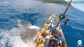 Shark rams kayak off Hawaii coast  ABC News [upl. by Maroney]