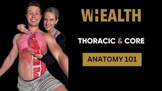 Thoracic amp Core Anatomy 101 shorts [upl. by Belen]