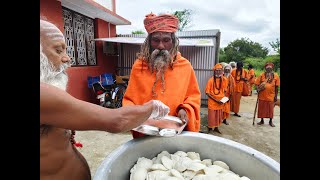 Tiruvannamalai  13 Nov 2024  Annadhanam for 250 Sadhus [upl. by Moriyama903]