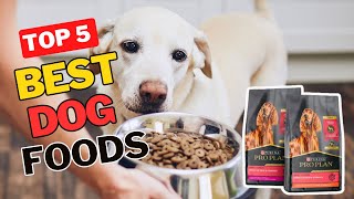 ✅Top 5 Best Dog Foods Review 2023 [upl. by Wilde599]