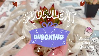 vlog 134  103024 Succulent Unboxing Day [upl. by Harat]