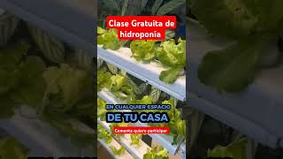 Participa de Nuestra Clase Gratuita de Hidroponía hidroponik plantas huertocasero huertas [upl. by Anividul550]