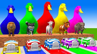 5 Giant Duck CartoonCowMammothLionDogBearTiger Paint Wild Animals Crossing Fountain Animation [upl. by Mandler]