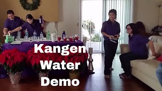 Kangen Water Demo  Alkaline pH 85 to 95 for Drinking [upl. by Lenrow]