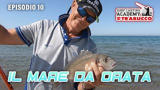 Pescare a SURFCASTING nel mare da ORATA » SURFaca S6E10 🎉 FINALE di stagione 🎉 [upl. by Wrennie958]