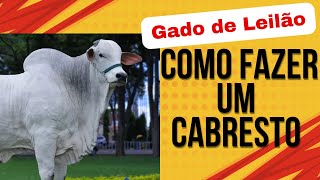 🎯 Como Fazer um Cabresto para Gado de Leilão com Estilo e Resistência 🐂✨ [upl. by Aizirtap798]