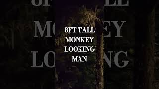 8FT TALL MONKEY LOOKING MAN shorts shortsfeed bigfoot stories story creepystories creepypasta [upl. by Figueroa]