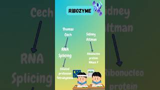 Ribozyme shorts ytshorts youtubeshorts chemistry science viralshort trending like subscribe [upl. by Weinshienk]