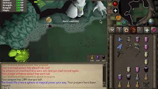 Flawless Olm kill with full budget gear OSRS [upl. by Nortad]