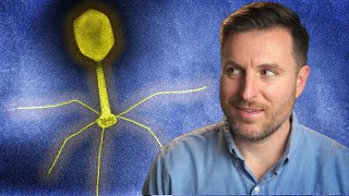 The History of Phage Therapy [upl. by Saddler]