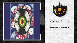 Various Artists  Mwana Akanaka  Official Audio [upl. by Noillid]