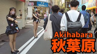 Akihabara Walk  Meido paradise Apr 20223  土曜昼の秋葉原電気街口周辺を散歩 [upl. by Hairahcaz]