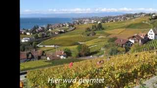 Die Terrassen des Lavaux  30 Okt 2013 [upl. by Hynes459]