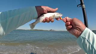 04 23 2023 Surf Fishing Tybee Island south end [upl. by Oirasor]