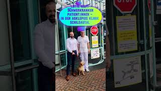 Therapiehund Lotte Vom Welpen zur Begleiterin in der Klinik  Asklepios shorts [upl. by Dupuy218]